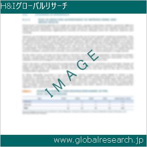グローバルリサーチ調査レポートのイメージ